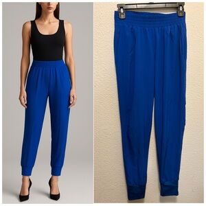 Wayf Royal Blue women dress pants sz small